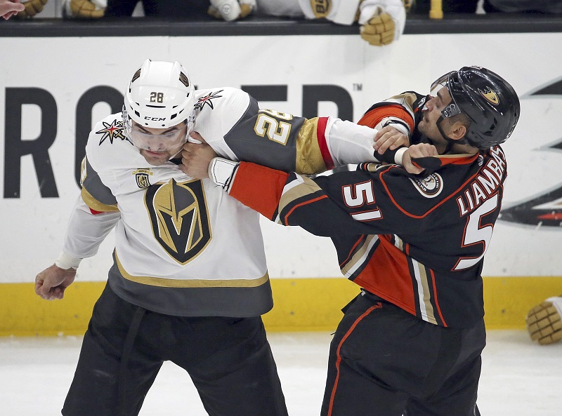 Hockey Fight in Canada—insuring our national sport Image