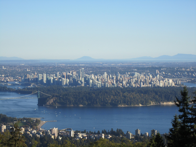 Transportation Safety Board involved in probe of crane collapsing on ship Image