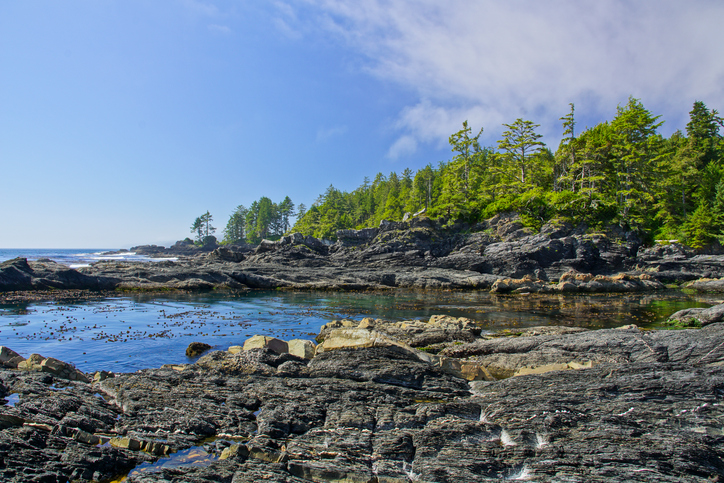 Wind warnings issued for “almost the entire south coast” of B.C. Image