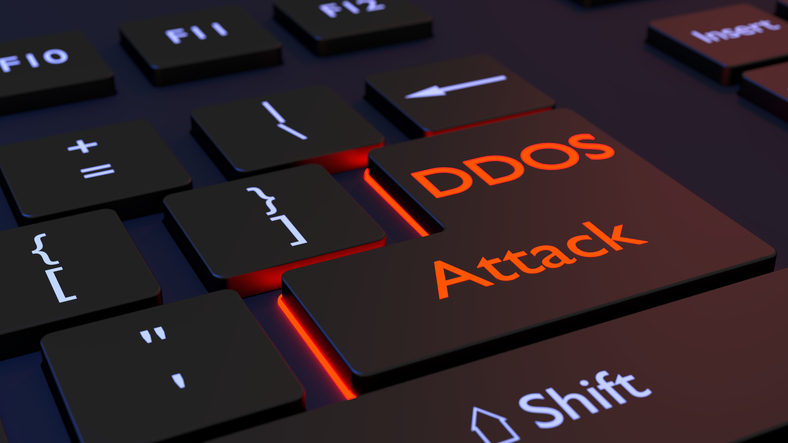 Linux botnets, number of countries facing DDoS attacks up in Q3: Kaspersky Image