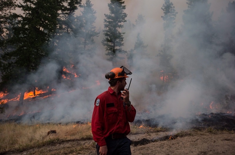 Insurers, society face irreversible climate change: reinsurance board exec Image