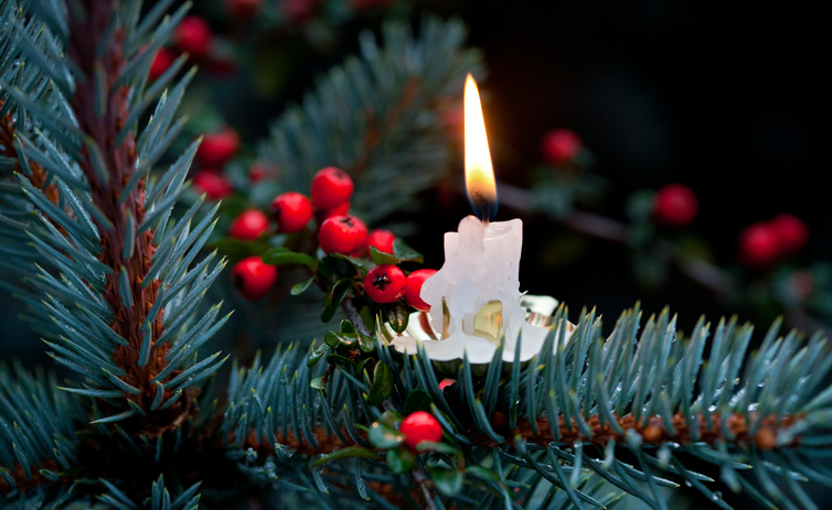 Christmas claims follies Image