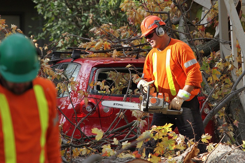 2017 cat bond issuance reaches record levels Image