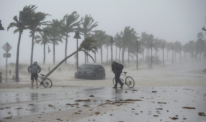 Which insurers were hit hardest by the third-quarter hurricanes? Image