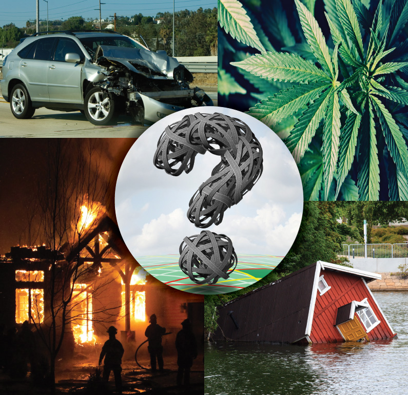 The Costly Future of Claims Image