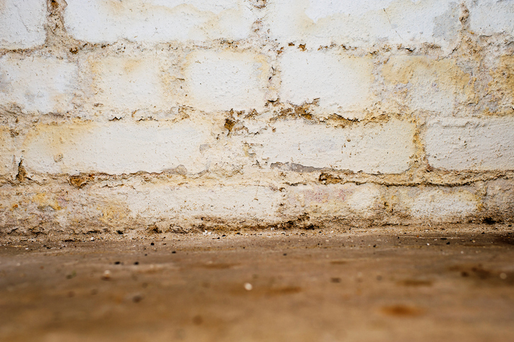 Why basement flooding victim can’t sue home seller Image