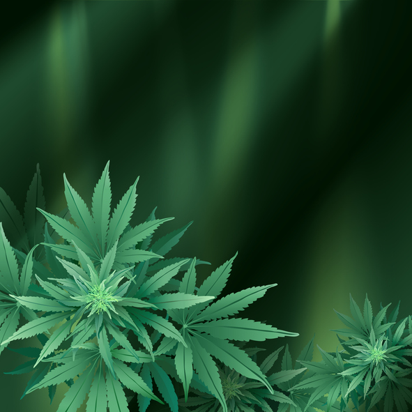 LCBO chooses Shopify to run online cannabis sales Image