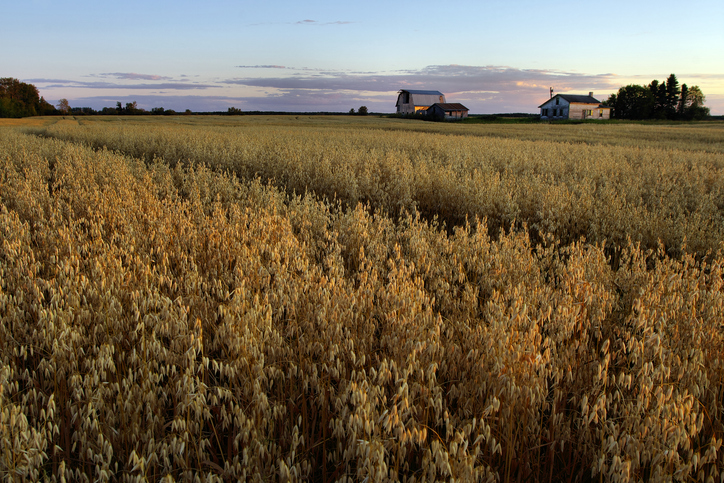 Two factors prompting HUB’s latest Canadian acquisition Image