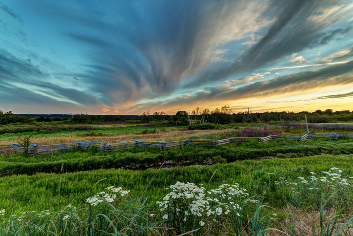 Desjardins’ weather alerts: sign of a preventative insurance model? Image