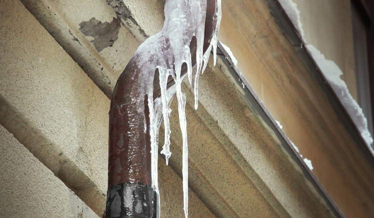 The $50 plumbing part that could help prevent a flooded basement Image