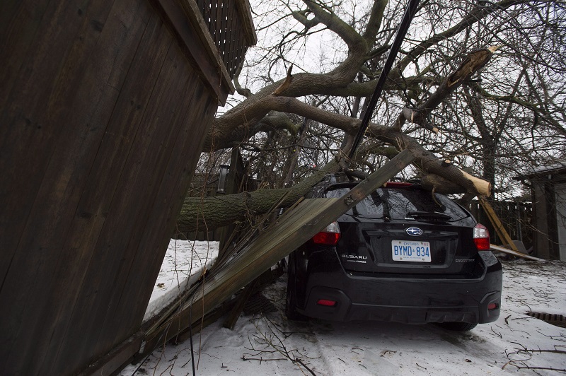 Ontario ice storm catches the eye of global reinsurance brokerage Image