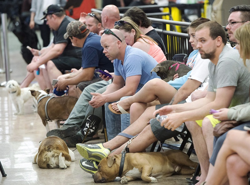 Two-year deadline for Fort McMurray insurance claims extended Image