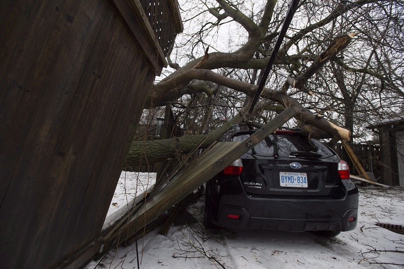 CatIQ releases updated toll of April ice storm damage Image