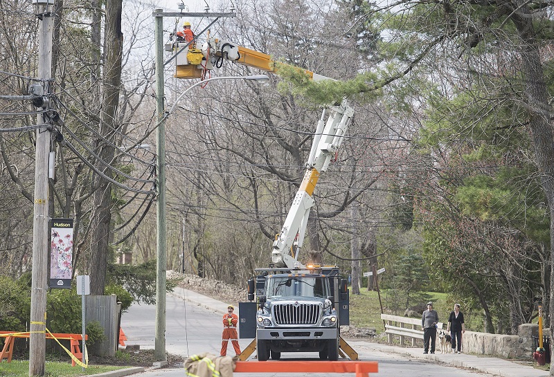 Ontario, Quebec wind storm to test industry capacity: Crawford Image
