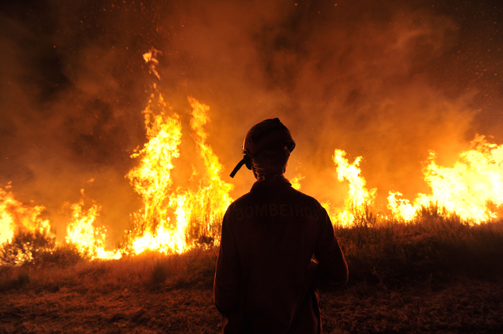 How to stop a wildfire Image