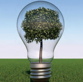 7 ideas for automating your business to promote growth Image