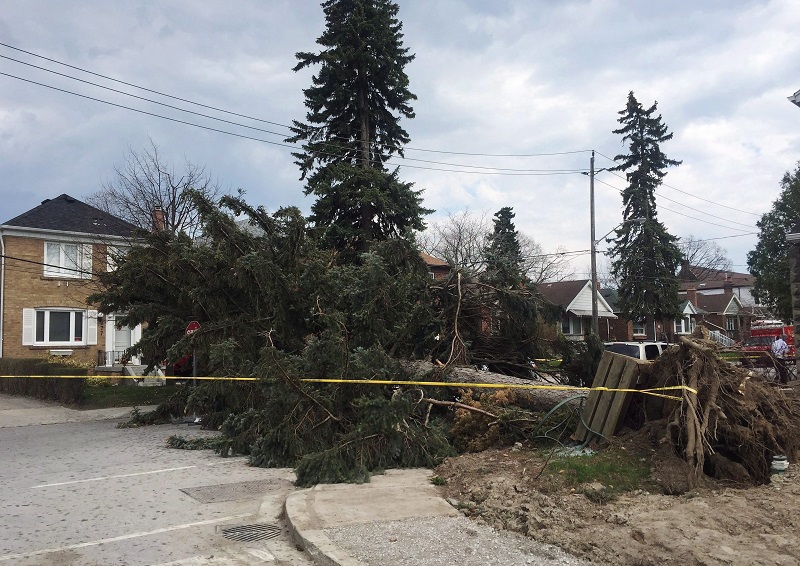 What the May 4 windstorm can teach the industry about catastrophe modelling Image