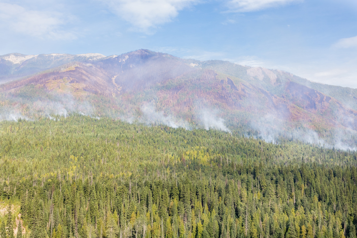 New wildfire evacuation alert in British Columbia Image