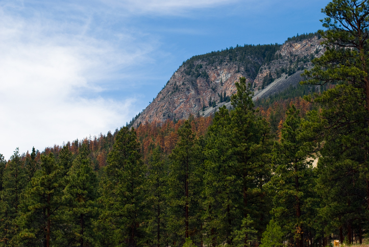 The new threat facing Fort McMurray (and other parts of Western Canada) Image