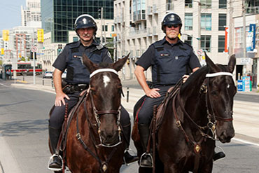  ‘Potential risk’ to Toronto area prompts increased police presence Image