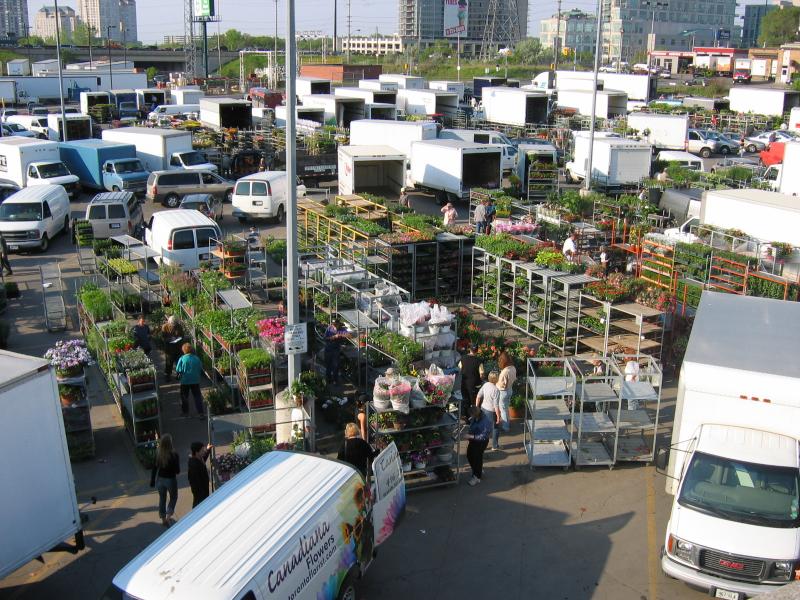 One Ontario industry vulnerable to weather extremes Image