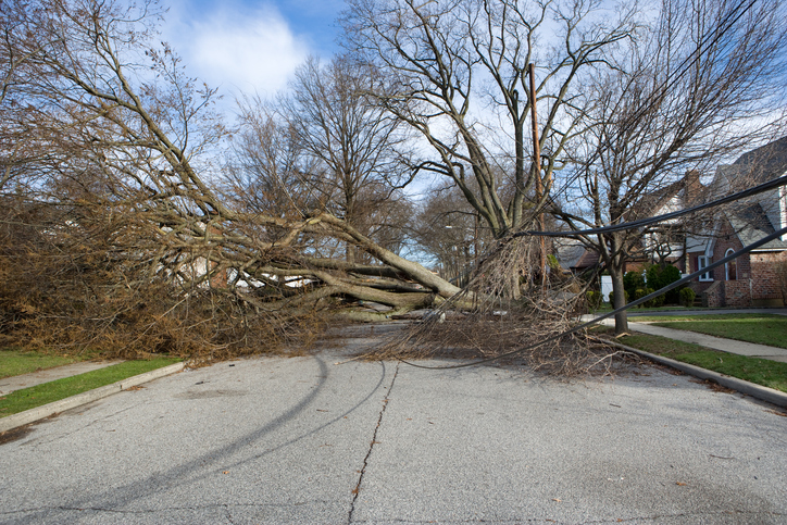Violent storms leave thousands without power in Quebec Image