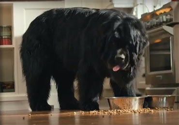 Insurer-owned agency re-launches its brand Image