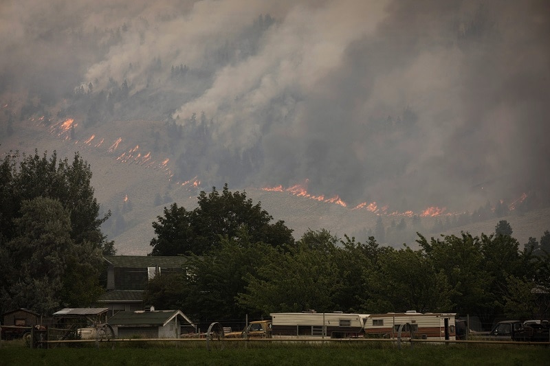 Wildfires ravage 30-45% of structures in B.C. community Image