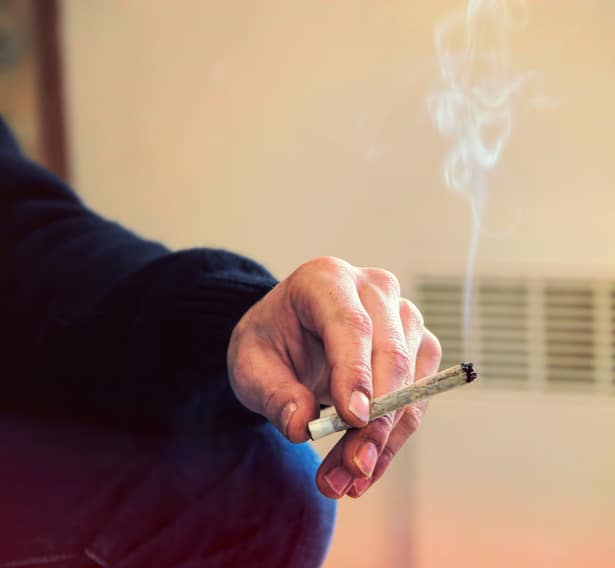 Hub introduces new cannabis insurance and risk services for Canada Image