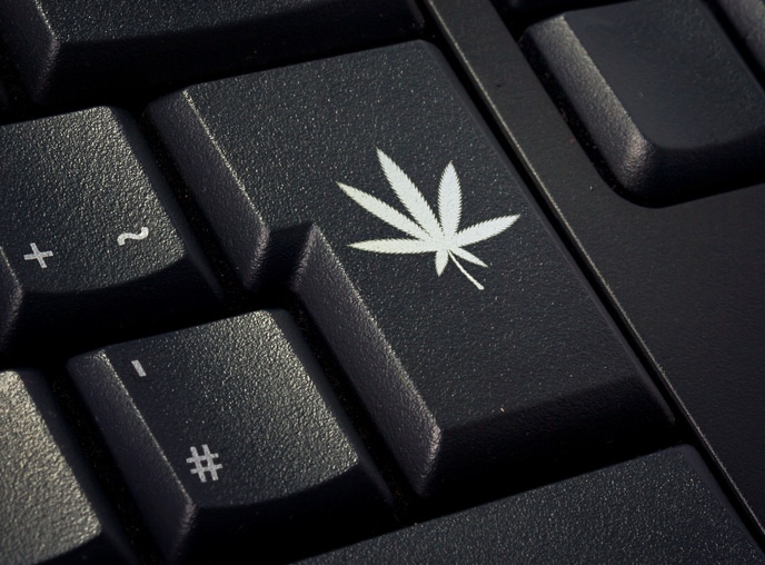 Ontario to sell pot online in fall, in private retail stores by April 2019 Image