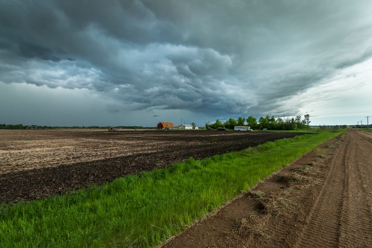 Frustration after emergency alerts not received before deadly Manitoba tornado Image