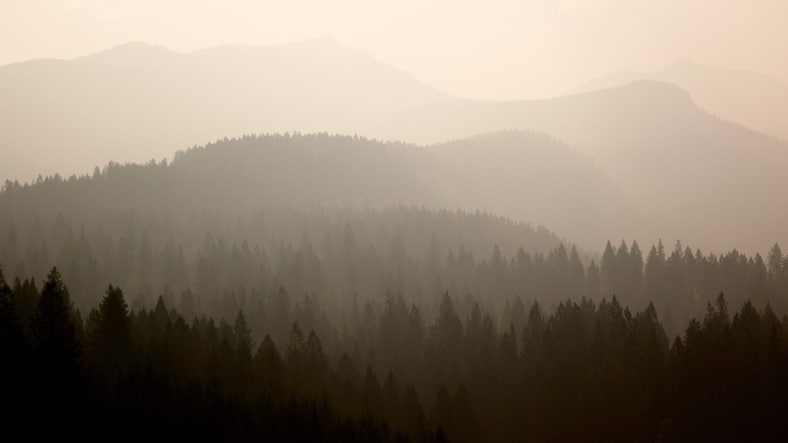 B.C. declares provincial state of emergency over wildfires Image