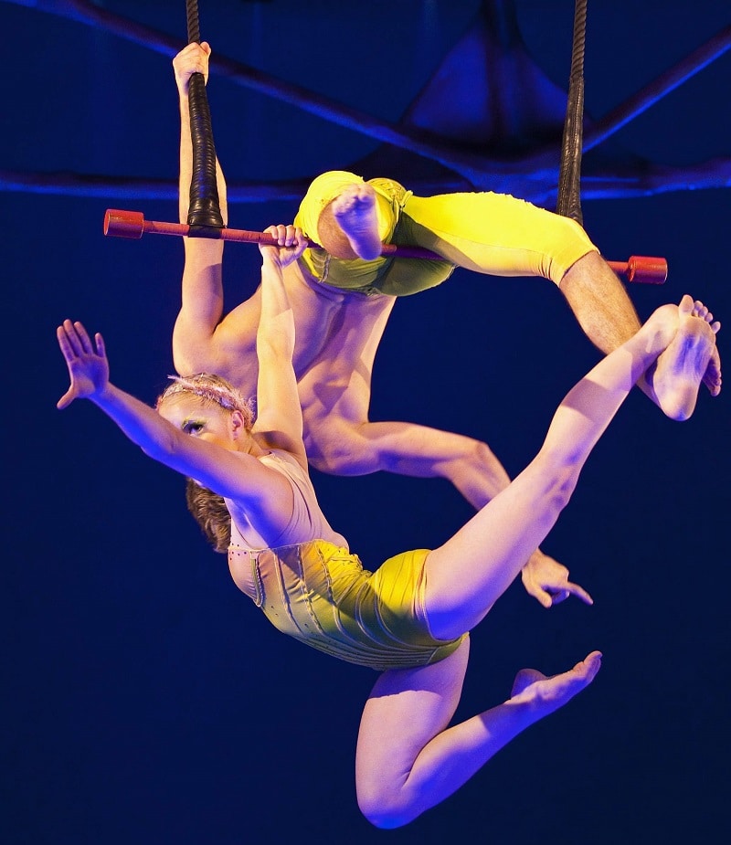 Cirque du Soleil’s director of risk management receives top honours Image