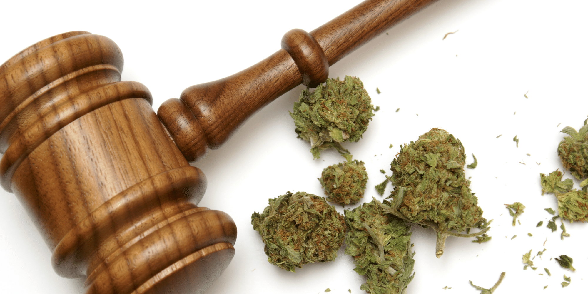 Recreational Cannabis Legalization: Are your HR policies ready? Image