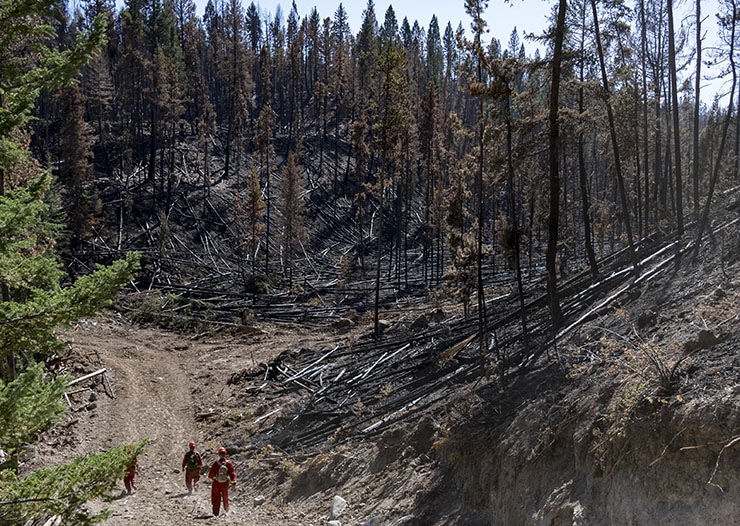 B.C. wildfire not expected to grow further Image
