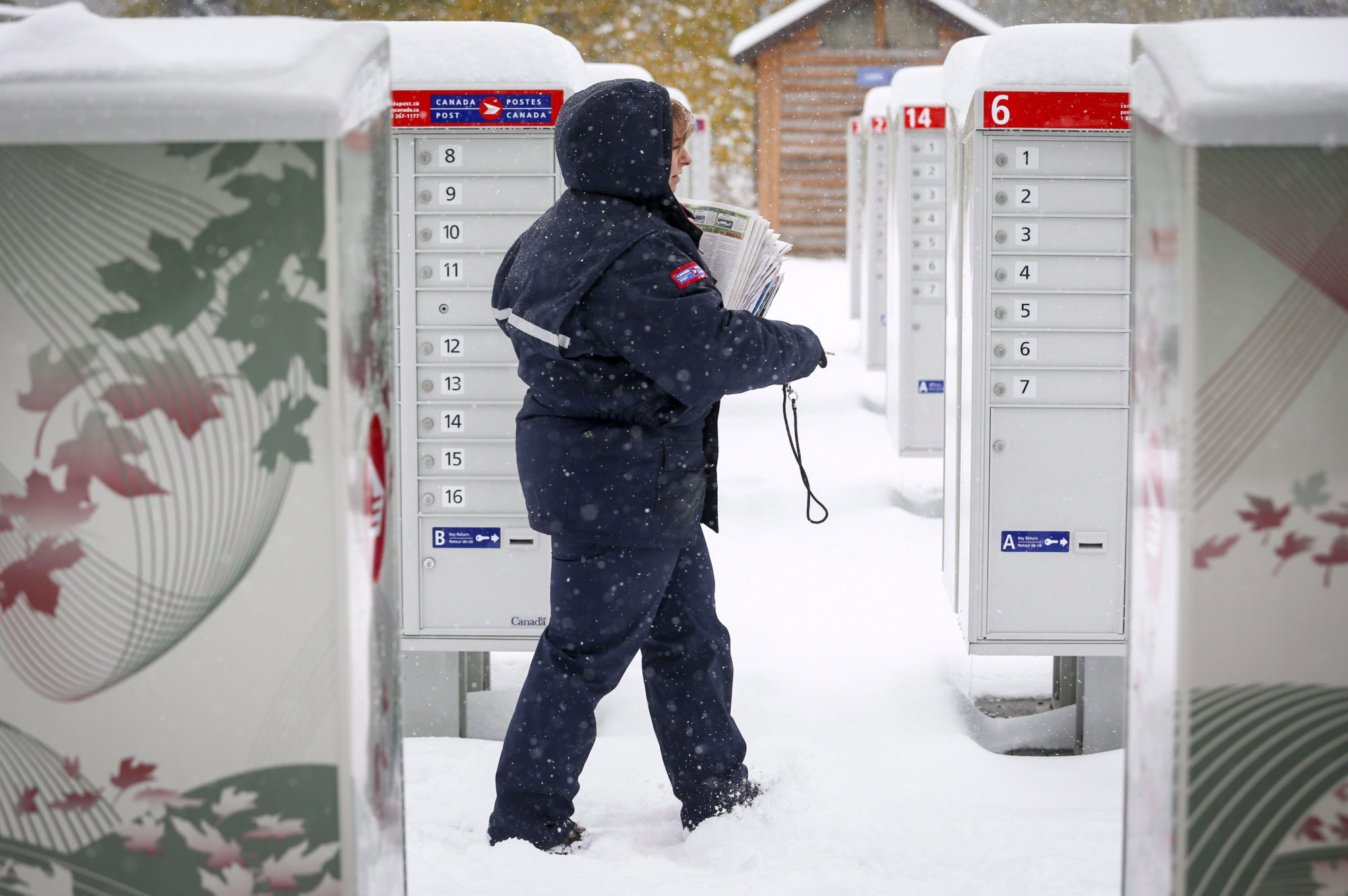 Over 80 collisions in one day after record Alberta snowstorm Image