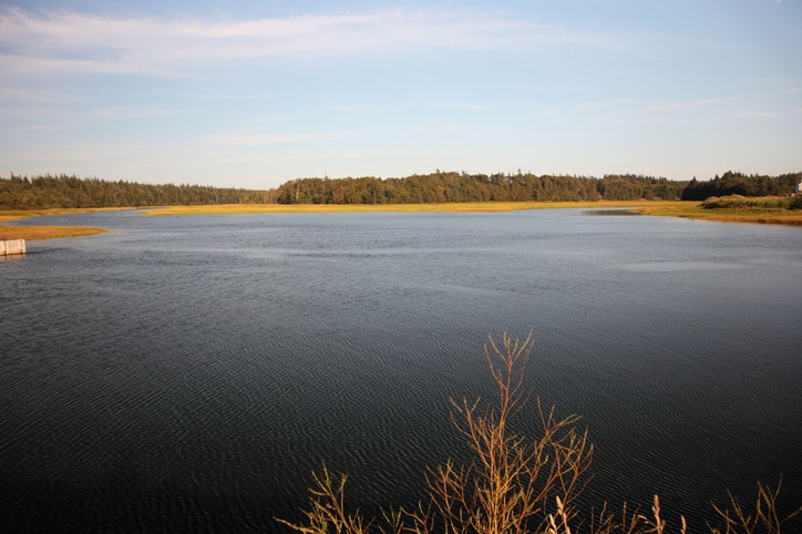 Will Nova Scotia earthquake spur uptake in insurance coverage? Image