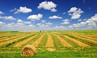  Out of control Saskatchewan wildfire triggers state of emergency, evacuation Image