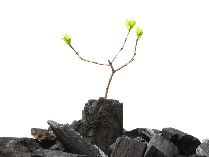 How consolidation can “regenerate” MGAs Image