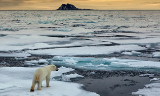 Why climate change might be worse than you think Image