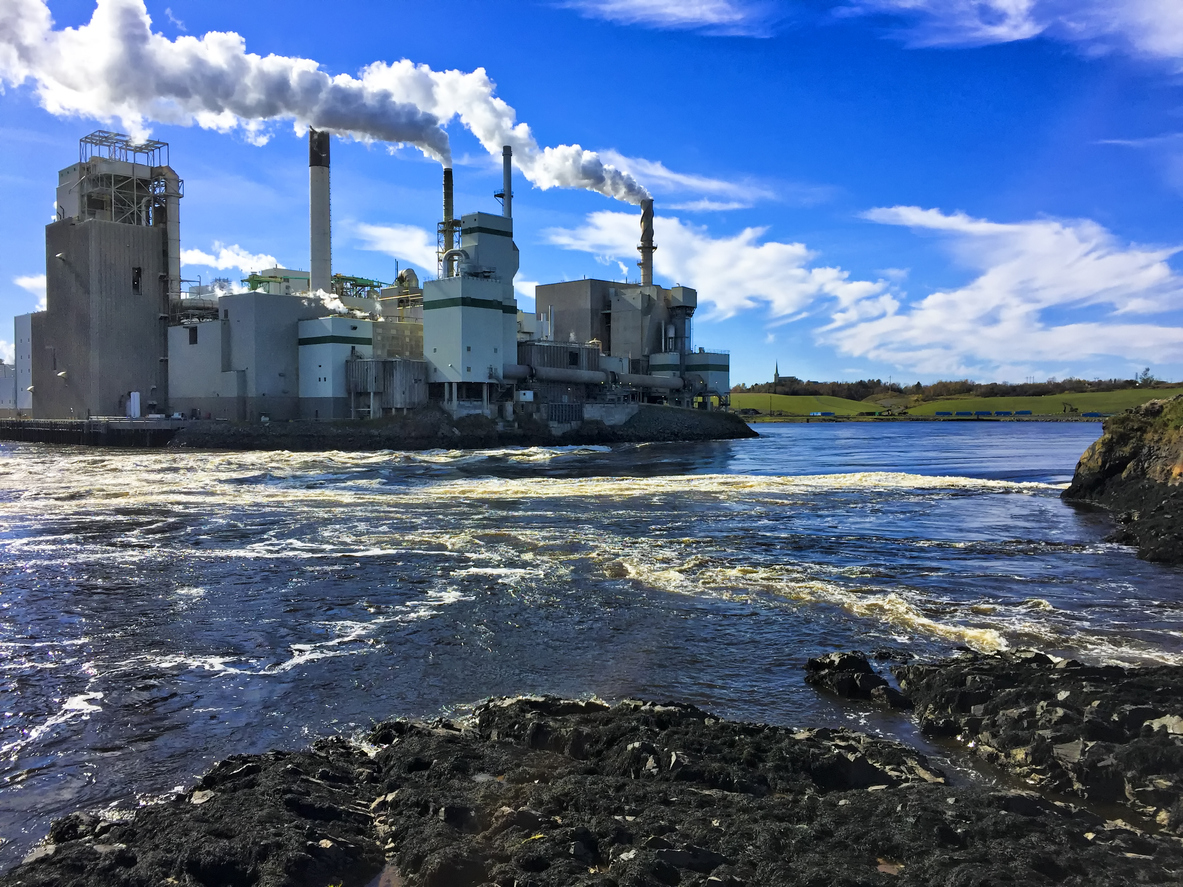 New Brunswick pulp and paper firm fined $3.5 million for pollution Image