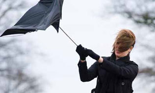 How bad the industry’s loss has been in 2019 so far Image