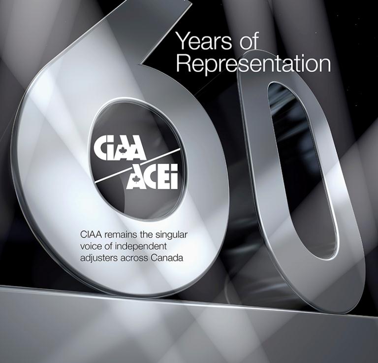 60 Years of Representation Image