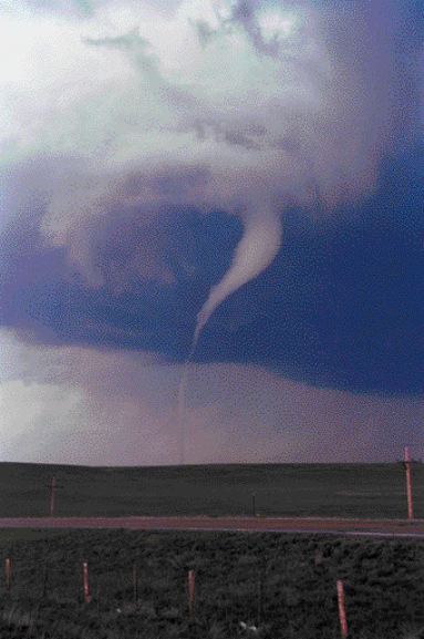 Elie receives F5 intensity rating Image