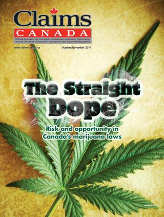 The Straight Dope Image