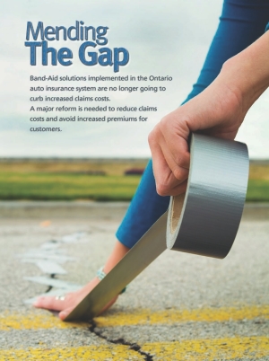 Mending The Gap Image