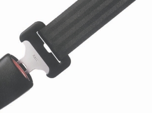 The Science Of Seatbelts And Airbags Image