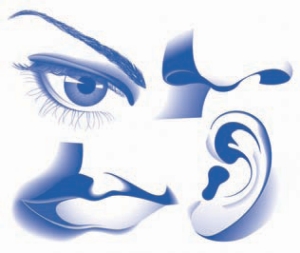 What Is A ‘Human Factors’ Expert Anyway? Image