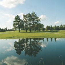 Belfor Restoration Invitational Image