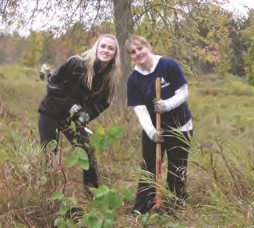 Crawford & Company Global Day of Service Image